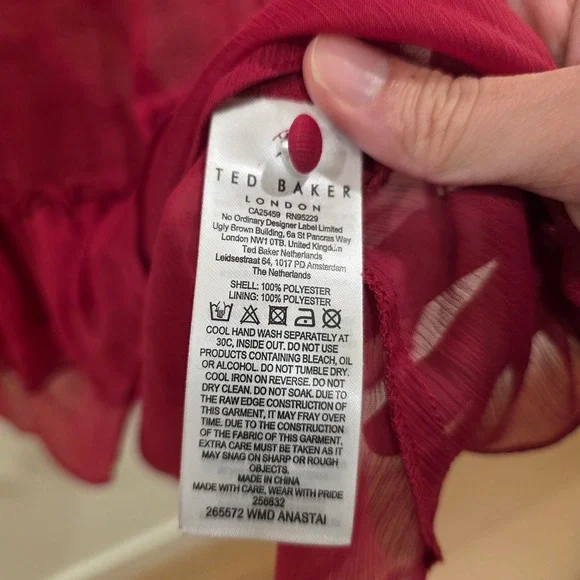 Ted Baker London Anastai Pleated Ruffle Mini Dress Red Sheer Chiffon Size 6 - Picture 5 of 11